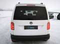 Volkswagen Caddy Austria Plus 2,0 TDI*NETTO 12.483 EUR*ERSTBESITZ Weiß - thumbnail 4