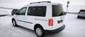 Volkswagen Caddy Austria Plus 2,0 TDI*NETTO 12.483 EUR*ERSTBESITZ Weiß - thumbnail 3
