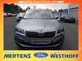 Skoda Karoq Style Navi Memory Sitze Sperrdiff. El. Heckklappe Grau - thumbnail 2