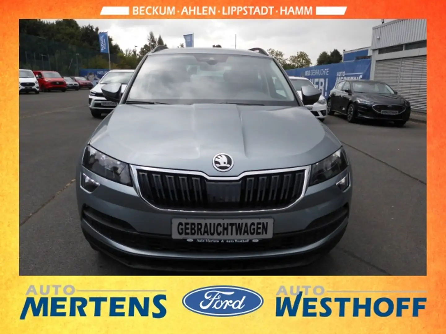 Skoda Karoq Style Navi Memory Sitze Sperrdiff. El. Heckklappe Grau - 2