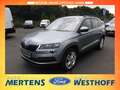 Skoda Karoq Style Navi Memory Sitze Sperrdiff. El. Heckklappe Grau - thumbnail 1