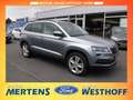 Skoda Karoq Style Navi Memory Sitze Sperrdiff. El. Heckklappe Grau - thumbnail 3