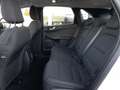 Ford Kuga TITATIUM 2,5 Duratec PHEV Aut Weiß - thumbnail 11