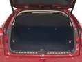 Lexus NX 300 300h Executive Navigation 4WD Rojo - thumbnail 9