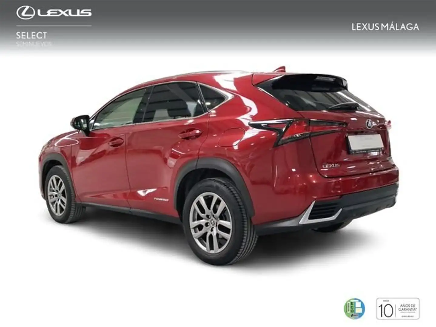Lexus NX 300 300h Executive Navigation 4WD Rojo - 2