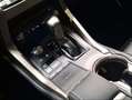 Lexus NX 300 300h Executive Navigation 4WD Rojo - thumbnail 13
