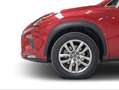 Lexus NX 300 300h Executive Navigation 4WD Rojo - thumbnail 10