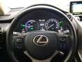 Lexus NX 300 300h Executive Navigation 4WD Rojo - thumbnail 15