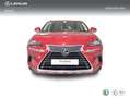 Lexus NX 300 300h Executive Navigation 4WD Rojo - thumbnail 5