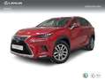 Lexus NX 300 300h Executive Navigation 4WD Rojo - thumbnail 1