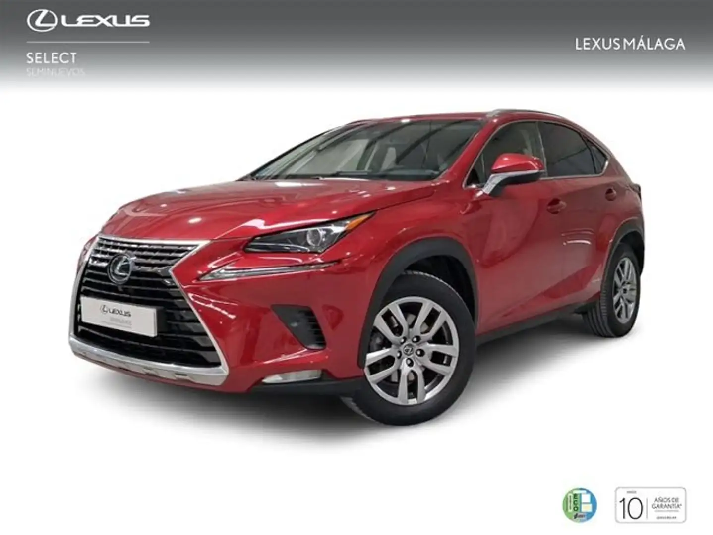 Lexus NX 300 300h Executive Navigation 4WD Rojo - 1