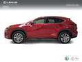 Lexus NX 300 300h Executive Navigation 4WD Rojo - thumbnail 3