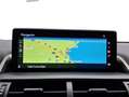 Lexus NX 300 300h Executive Navigation 4WD Rojo - thumbnail 12