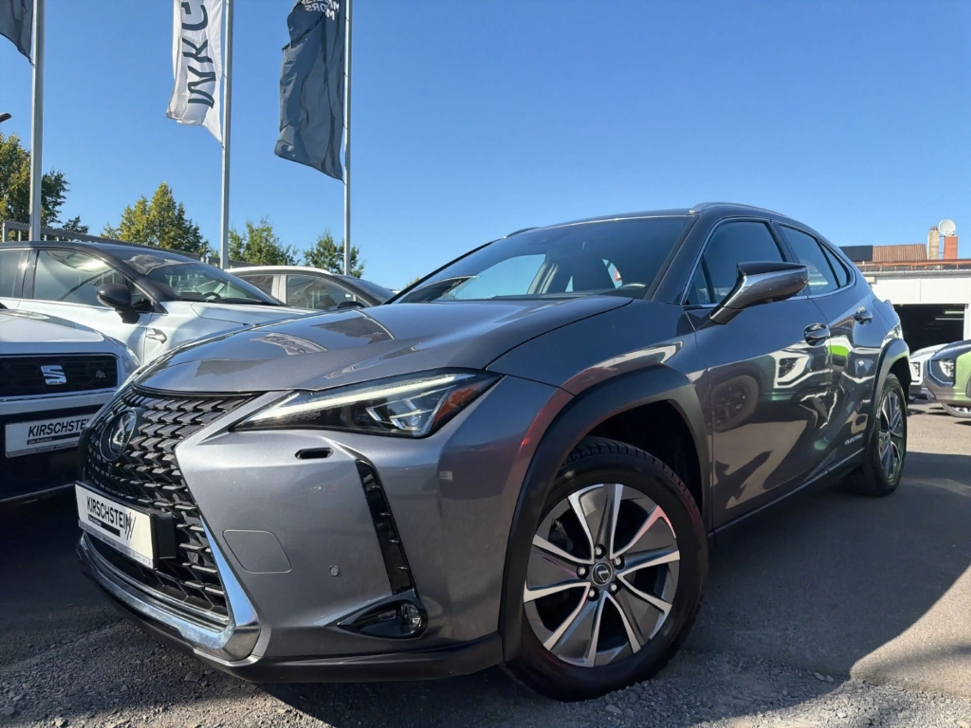 Lexus UX 300e Luxury Head-Up Kamera Navi Leder Sitzklima — photo 5