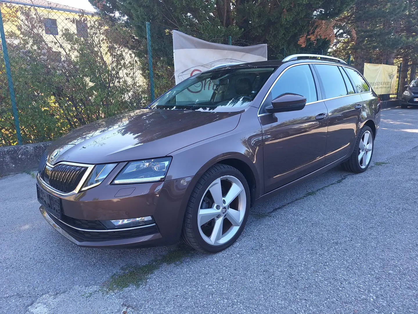 Skoda Octavia Octavia Combi 2,0 TDI Style DSG***HERBSTANGEBOT*** Braun - 1