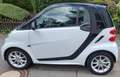 smart forTwo smart fortwo Diesel cdi coupe softouch passion Weiß - thumbnail 2