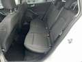 Ford Focus Traveller Titanium 1,5L Ecoblue Aut. Weiß - thumbnail 7
