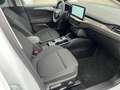 Ford Focus Traveller Titanium 1,5L Ecoblue Aut. Weiß - thumbnail 12