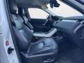 Land Rover Range Rover Evoque 2.0 TD4 150 CV 5p. SE White - thumbnail 3