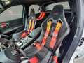 Alfa Romeo Giulia GTAM 2.9T V6 397kW (540CV)   AT GTAM Alb - thumbnail 45