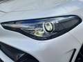 Alfa Romeo Giulia GTAM 2.9T V6 397kW (540CV)   AT GTAM Alb - thumbnail 15