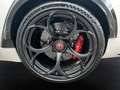 Alfa Romeo Giulia GTAM 2.9T V6 397kW (540CV)   AT GTAM Alb - thumbnail 13