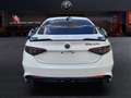 Alfa Romeo Giulia GTAM 2.9T V6 397kW (540CV)   AT GTAM Alb - thumbnail 5