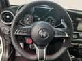Alfa Romeo Giulia GTAM 2.9T V6 397kW (540CV)   AT GTAM Alb - thumbnail 9