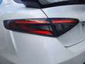 Alfa Romeo Giulia GTAM 2.9T V6 397kW (540CV)   AT GTAM Alb - thumbnail 16