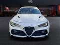 Alfa Romeo Giulia GTAM 2.9T V6 397kW (540CV)   AT GTAM Alb - thumbnail 2