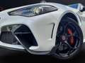 Alfa Romeo Giulia GTAM 2.9T V6 397kW (540CV)   AT GTAM Alb - thumbnail 50