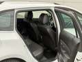 Chevrolet Cruze Cruze Station Wagon 1.7TD LT+ Wit - thumbnail 12
