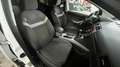 Ford Kuga + 2.0 TDCi 136 CV 2WD DPF Bianco - thumbnail 6