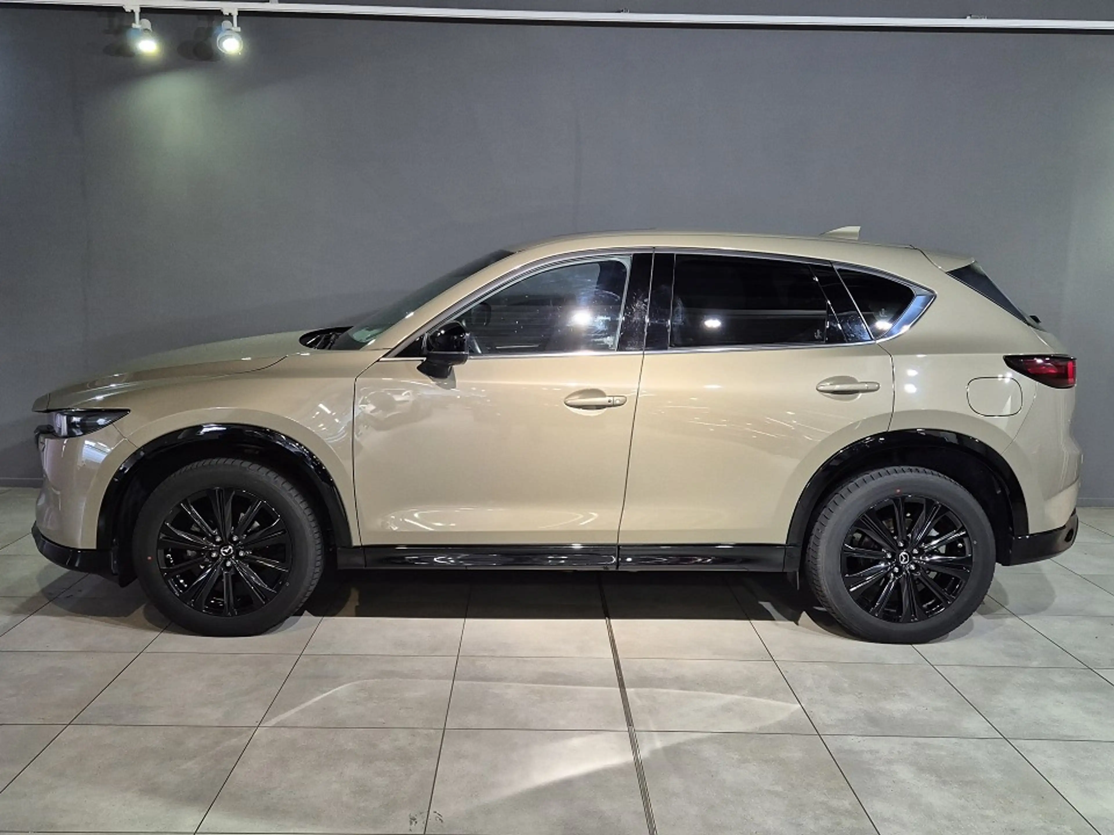 Mazda CX-5 Homura G-194/6AT/AWD/Leder/GSD/Navi/Head-Up/Sitzkl — photo 3