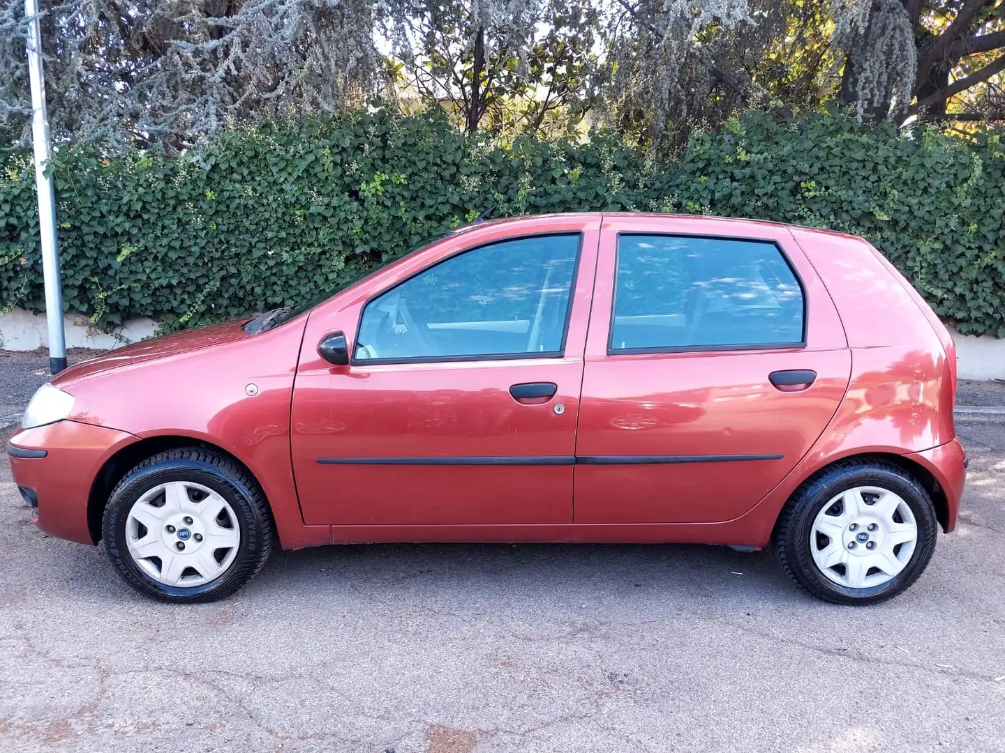 Fiat Punto 1.2 8V Dynamic - 2