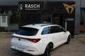 CUPRA Leon Sportstourer 2.0 TDI DSG NAVI+ACC+SPURH+LED Weiß - thumbnail 3