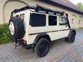 Mercedes-Benz G 280 CDI Edition 30 PUR - Expedition - WoMo Weiß - thumbnail 7