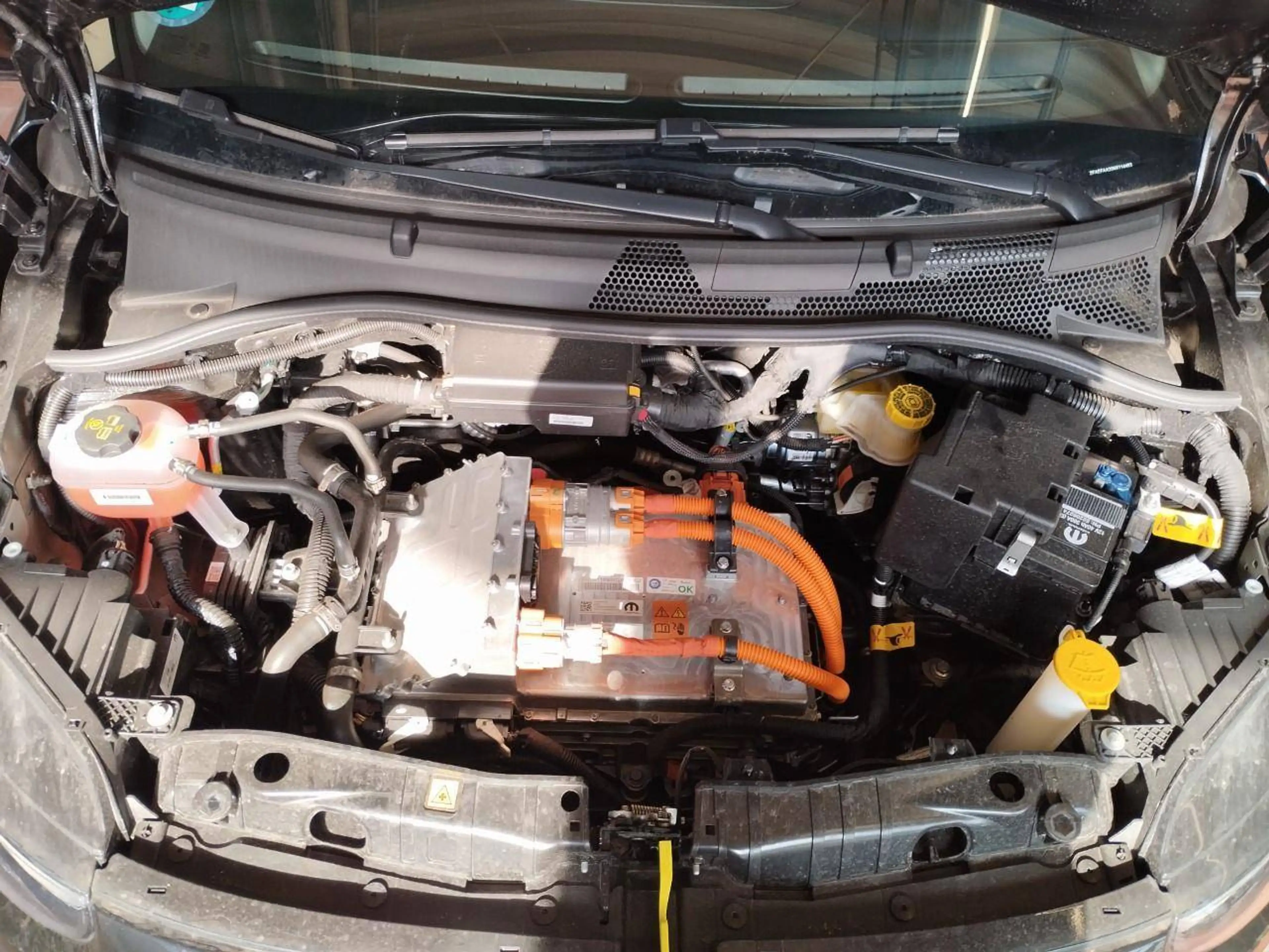 Fiat 500 Action — photo 13