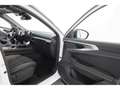 Renault Austral 1.3TCe Aut.Techno+LED+NAVI+VIRTUAL+TEMPO Blanc - thumbnail 21