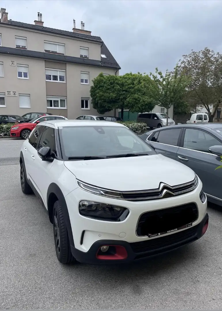 Citroen C4 Cactus BlueHDi 120 S&S EAT6 Shine 8fach bereift - 1