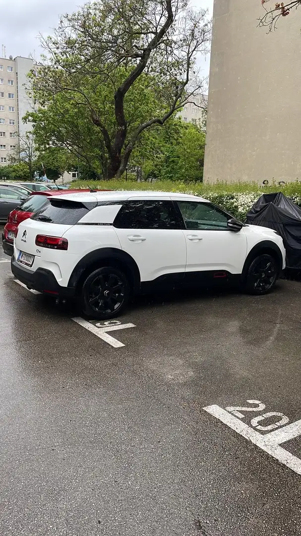 Citroen C4 Cactus BlueHDi 120 S&S EAT6 Shine 8fach bereift - 2