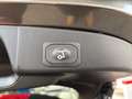 Ford Focus Turnier 1.0 HYBRID AUT. ST-Line X |ACC|AHK Grau - thumbnail 25