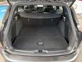 Ford Focus Turnier 1.0 HYBRID AUT. ST-Line X |ACC|AHK Grau - thumbnail 10