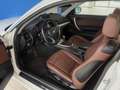BMW 120 1er Coupe 120d LCI*AUTOMATIK*NAVI*XENON*PANO*SHZ Blanc - thumbnail 9