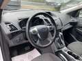 Ford Kuga Trend  4X4 *Tempomat*Automatik*Sitzheizung* Bílá - thumbnail 9