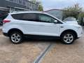 Ford Kuga Trend  4X4 *Tempomat*Automatik*Sitzheizung* White - thumbnail 7