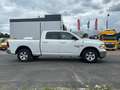 Dodge RAM Dodge RAM 1500 Classic 5.7 HEMI V8 4x4 Long Bed | Euro 6 | LKW N1 | 6-Sitzer | Unfallfrei Weiß - thumbnail 4