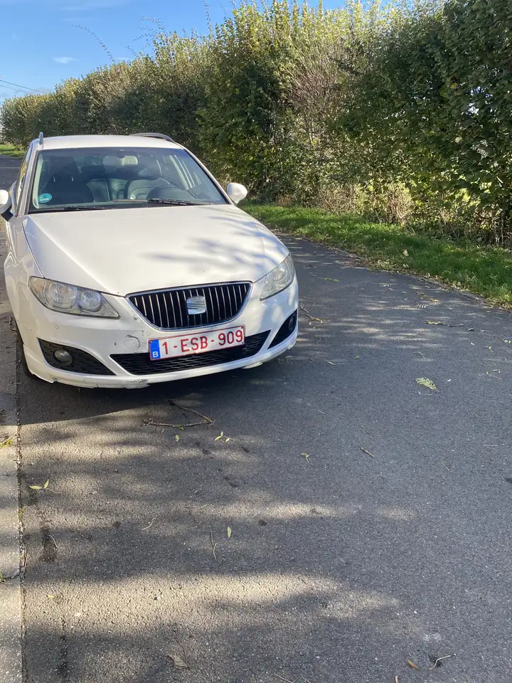 Seat Exeo