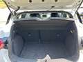 Nissan Micra 1.5 dci Tekna 90CV - OK NEOPATENTATI Bianco - thumbnail 11