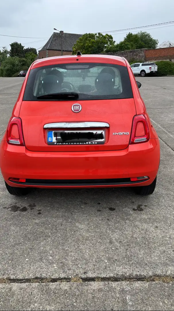 Fiat 500 1.0i Cult Oranje - 2